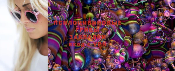 кокаин премиум Заречный