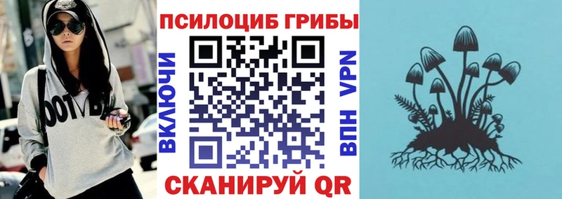 Псилоцибиновые грибы Cubensis  Великие Луки 