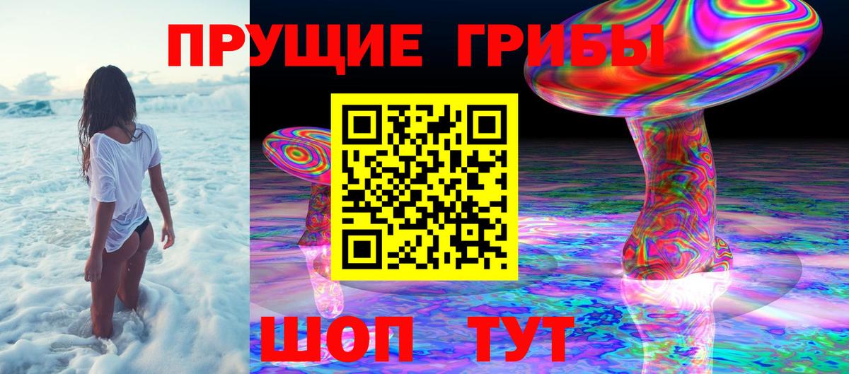 Галлюциногенные грибы Cubensis Великие Луки