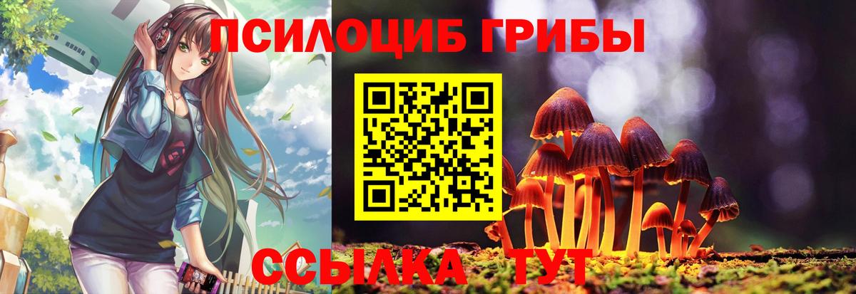как найти закладки  Великие Луки  Галлюциногенные грибы Magic Shrooms 