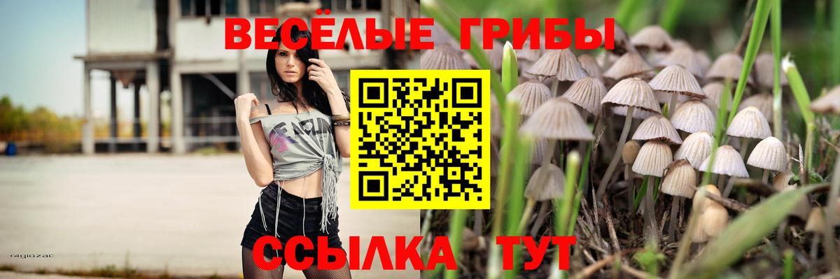 Галлюциногенные грибы мухоморы  купить  сайты  Великие Луки  Вход с VPN 